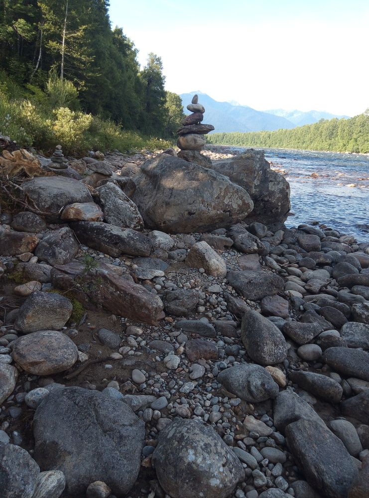 Photo #9986455
