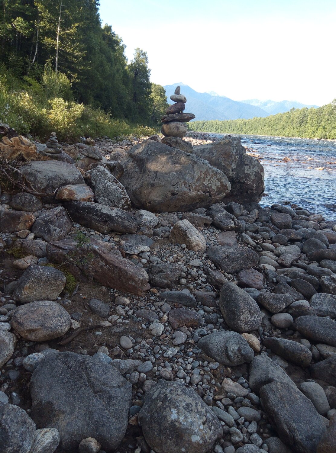 Photo #9986455