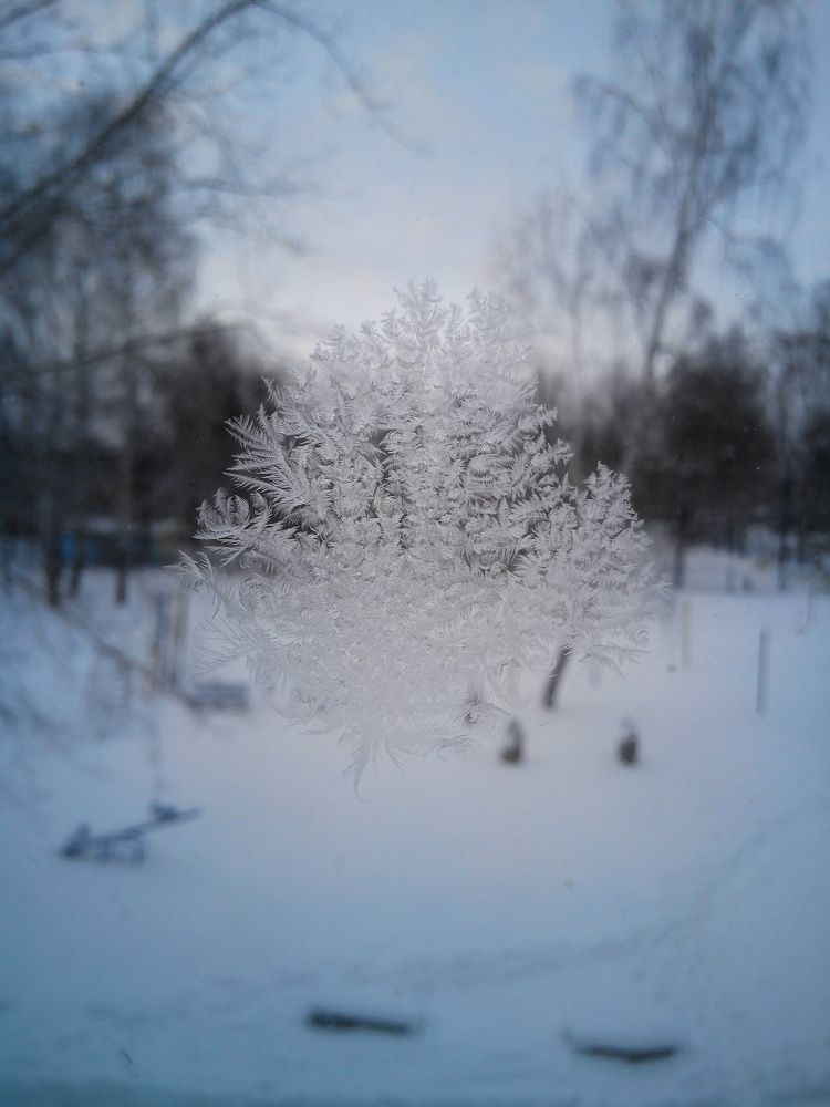 Photograph by Екатерина Познякова