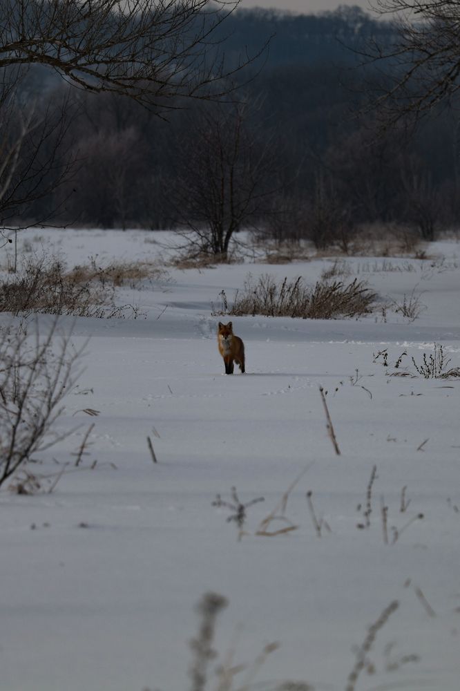 Photograph by Сергей Конюшенко