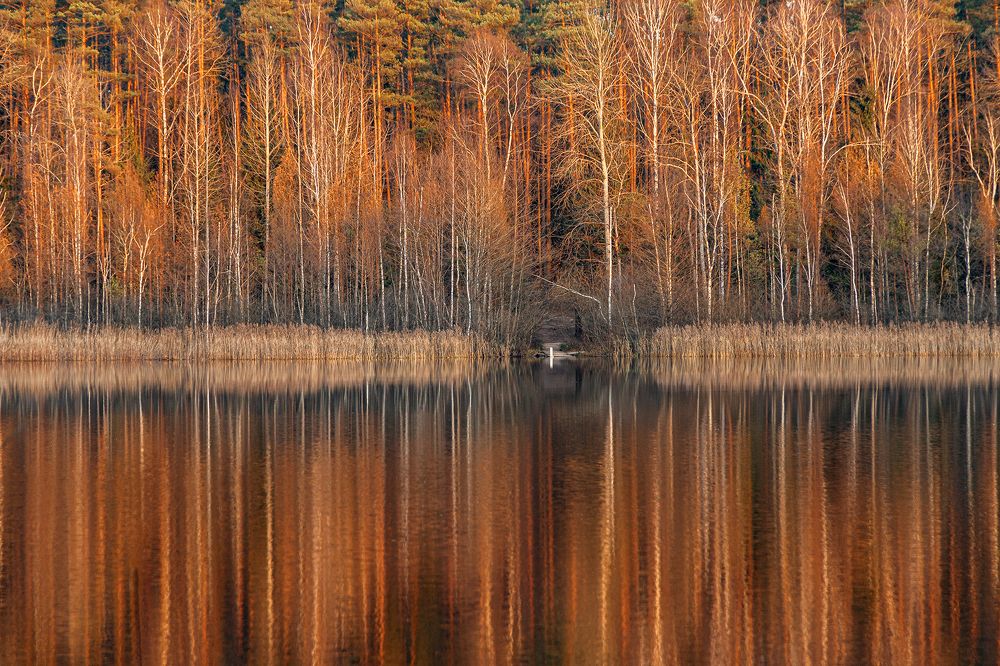 Отражение осени