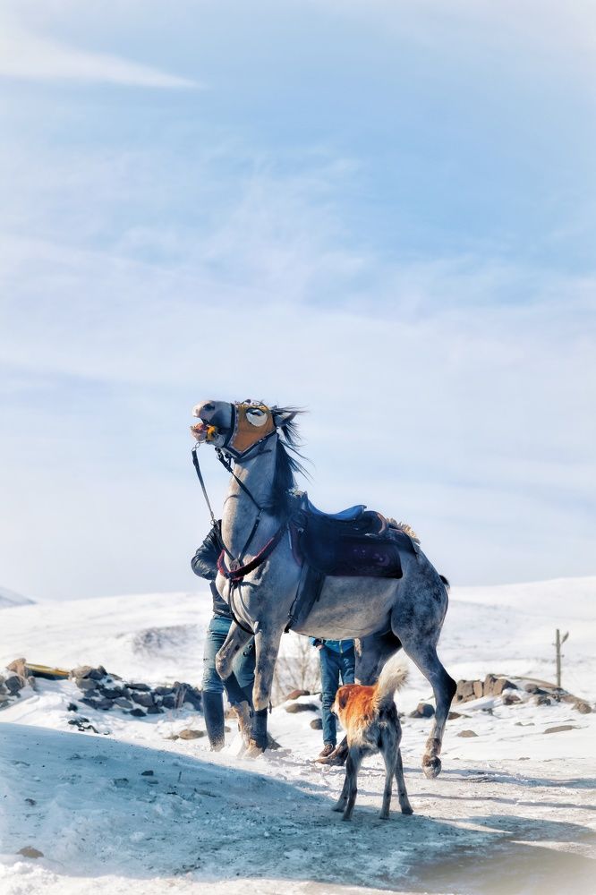 Photograph by fuat cimok