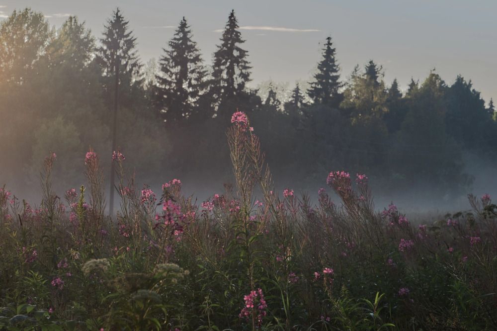 Фотография автора Антон Бразевич