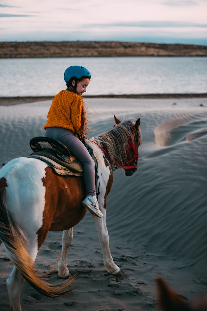 Фотография автора Дарья Шевченко