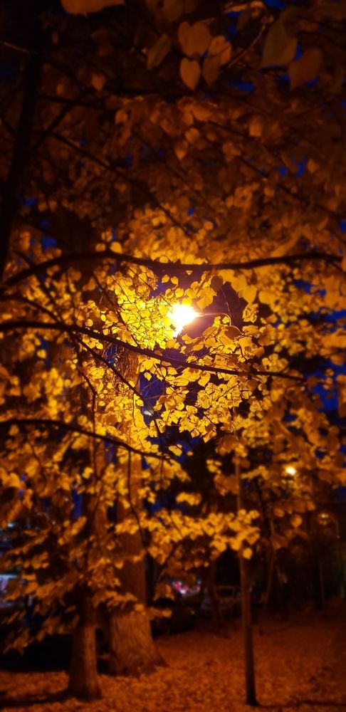 Фотография автора Алексей