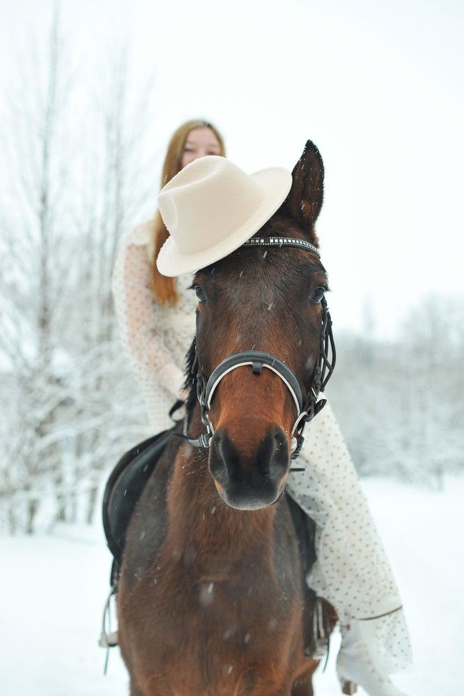 Фотография автора Ольга Пушленкова