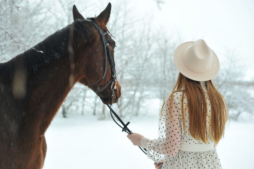 Фотография автора Ольга Пушленкова
