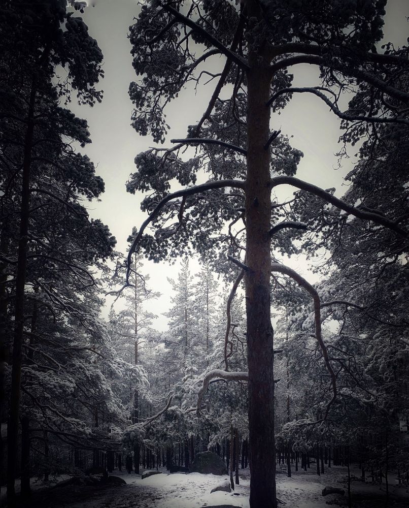 Photograph by Ilyas Adilbayev