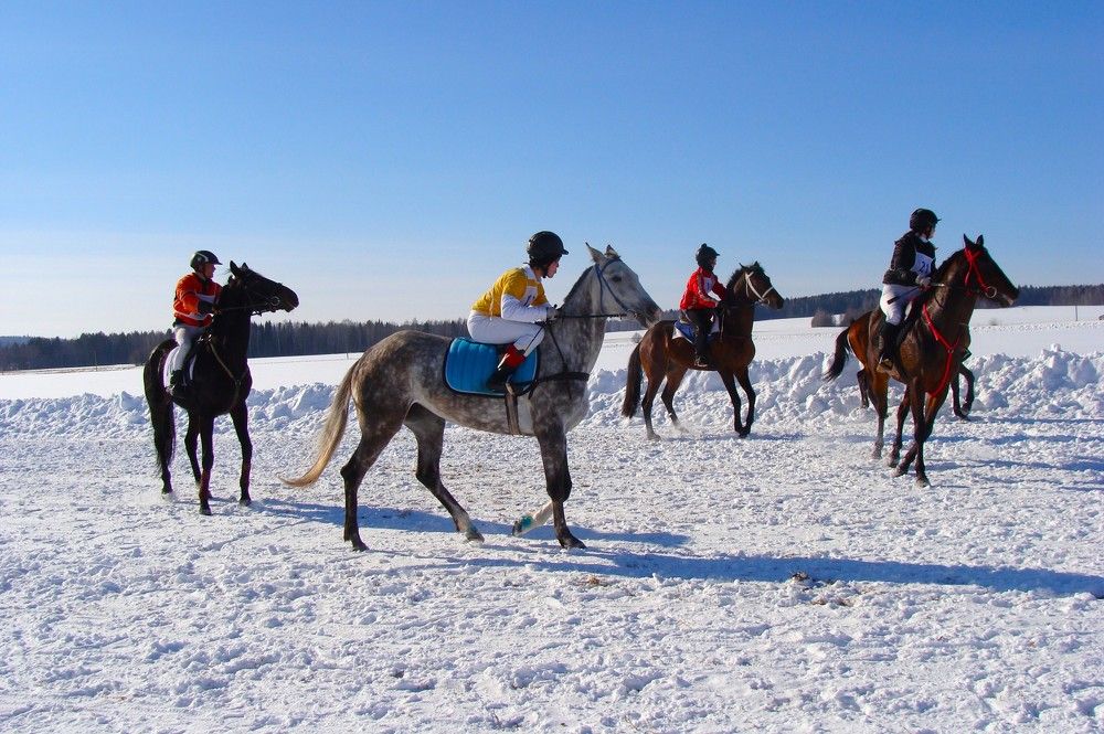 Photograph by Николай Худяков