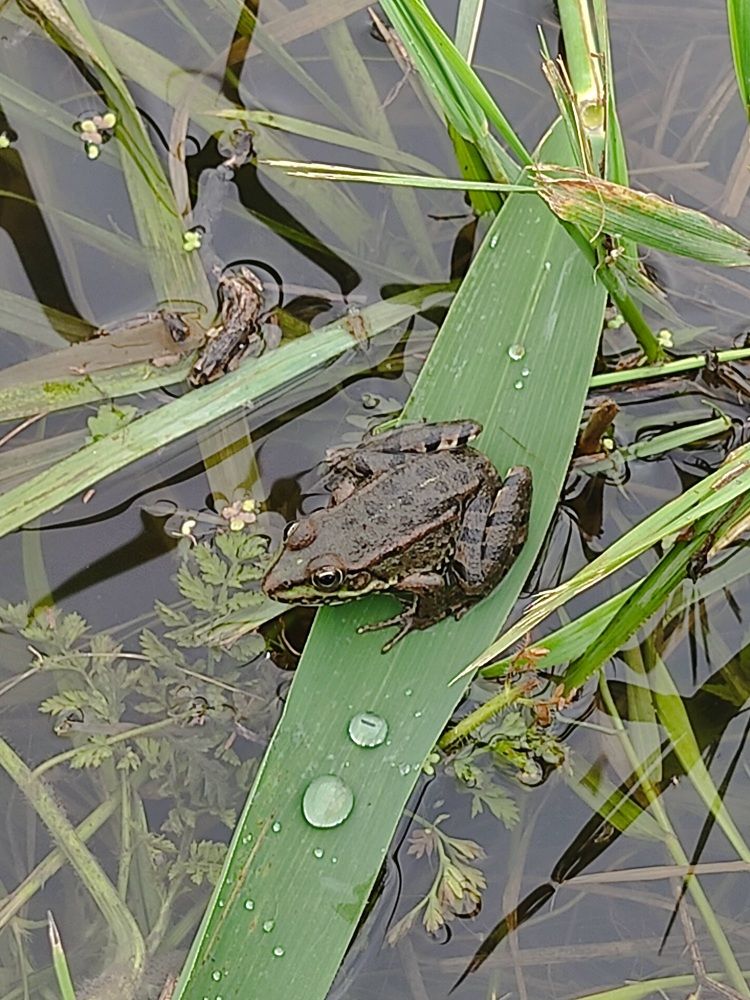 Photograph by Наталья Билай