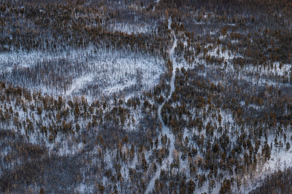 Фотография автора Ляшеев Дмитрий