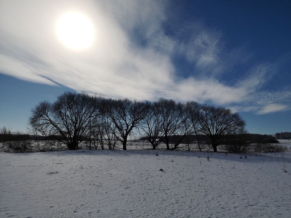 Photograph by Дмитрий Руднов