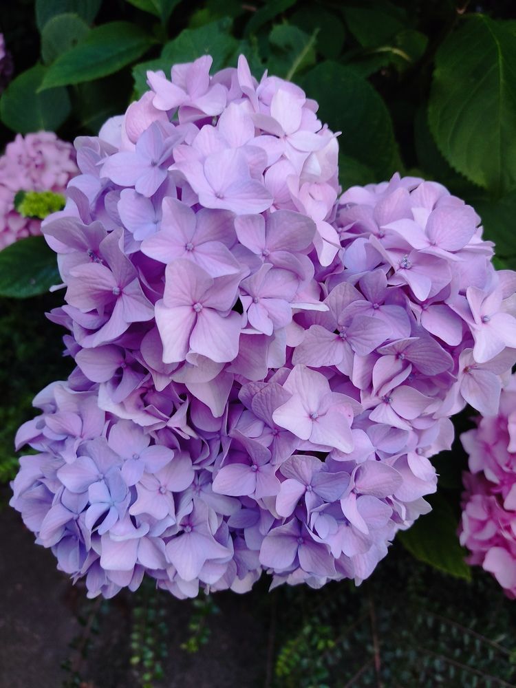 Photograph by Наталья Билай