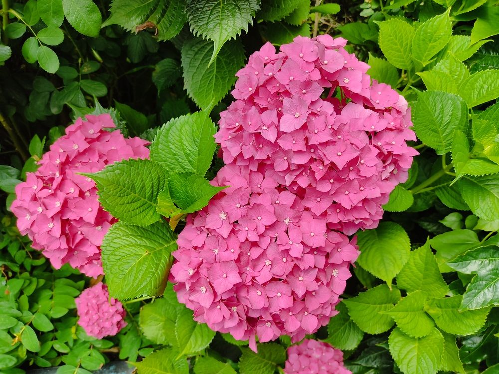 Photograph by Наталья Билай