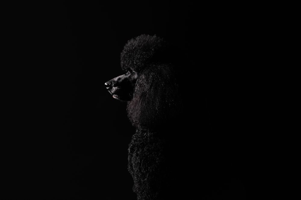 Photograph by Sandra