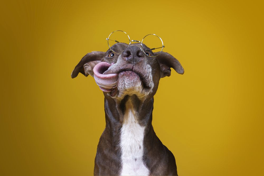 Photograph by Sandra