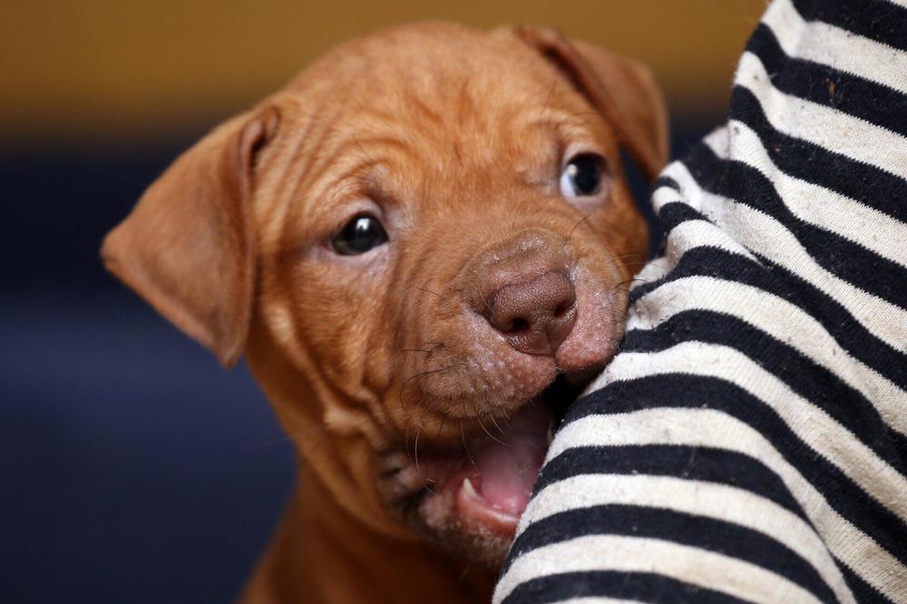 Photograph by Руслан Способин