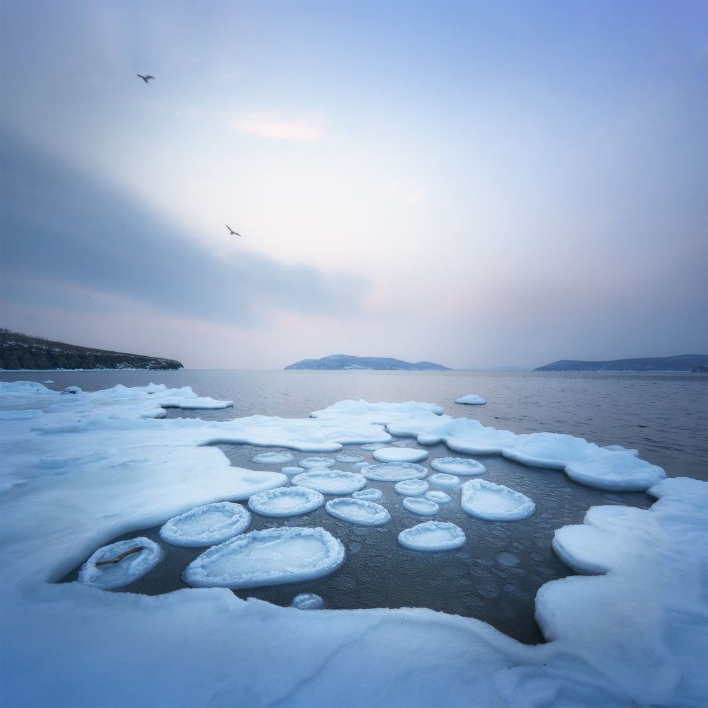 Сумерки в Приморье…, январь 2023