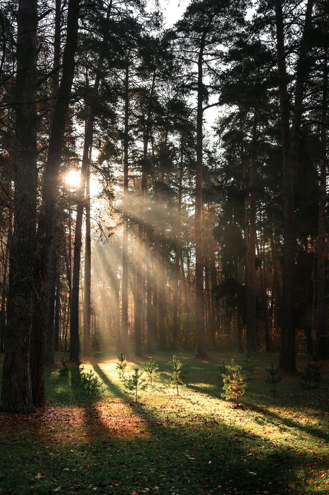 Photograph by Белевитин Михаил