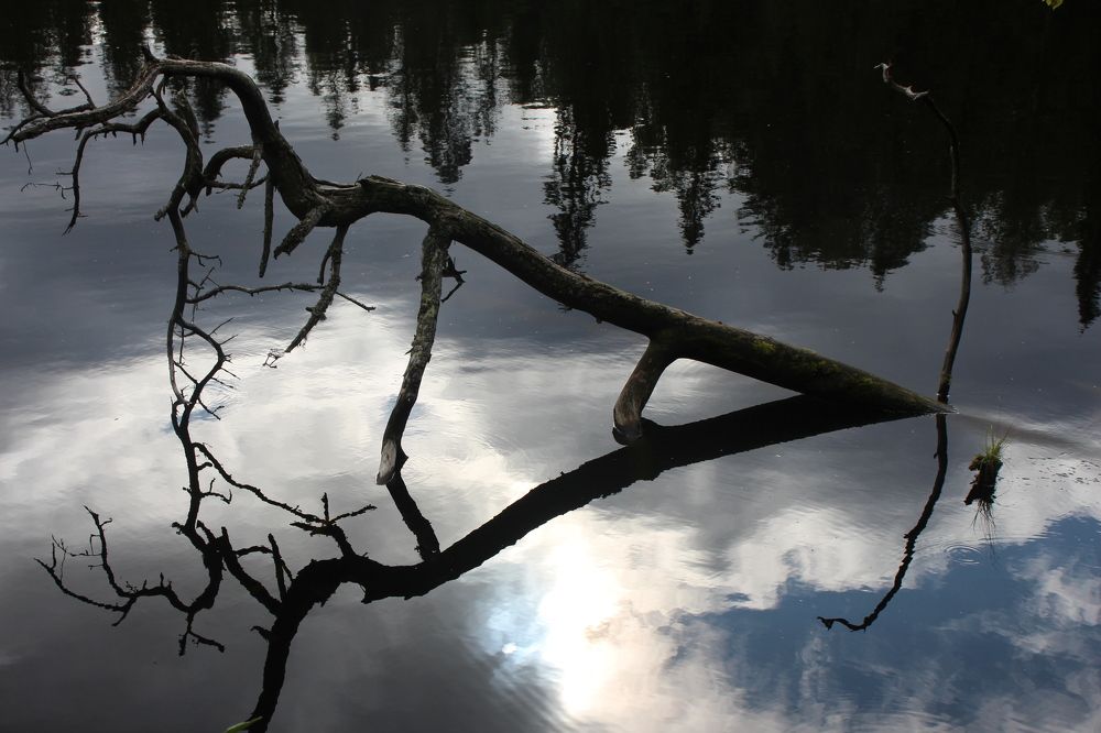 Photograph by Валентина