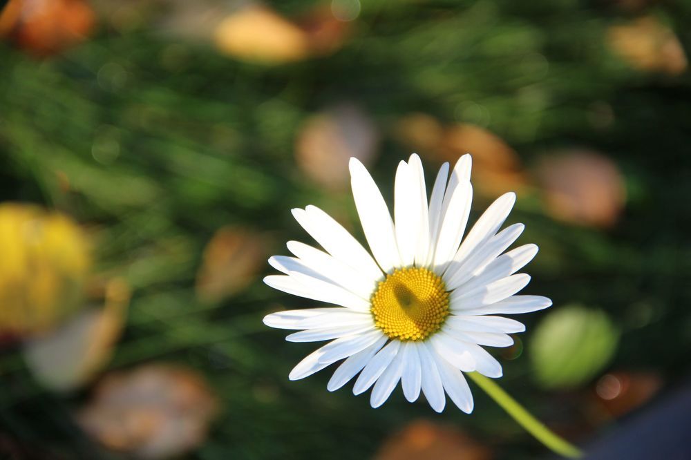 Photograph by Валентина