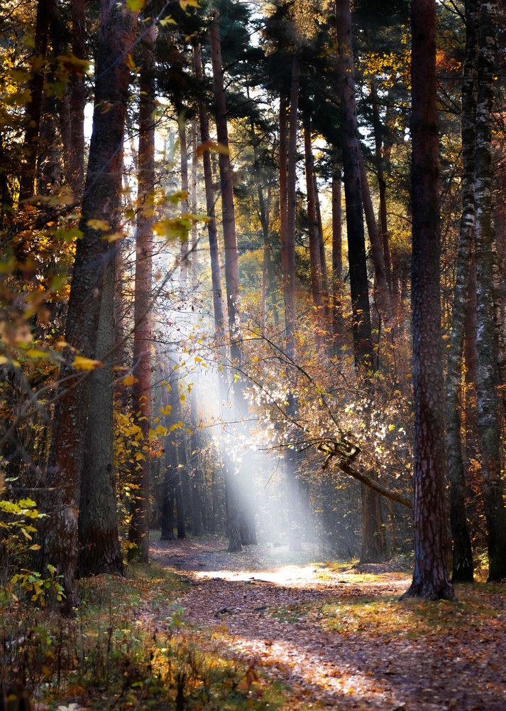 Photograph by Белевитин Михаил