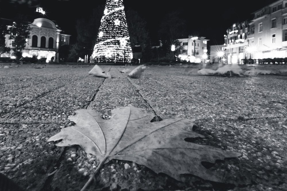 Photograph by Daniel Chobanov