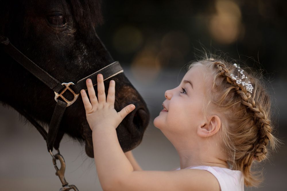 Photograph by Rahel Barenshtein