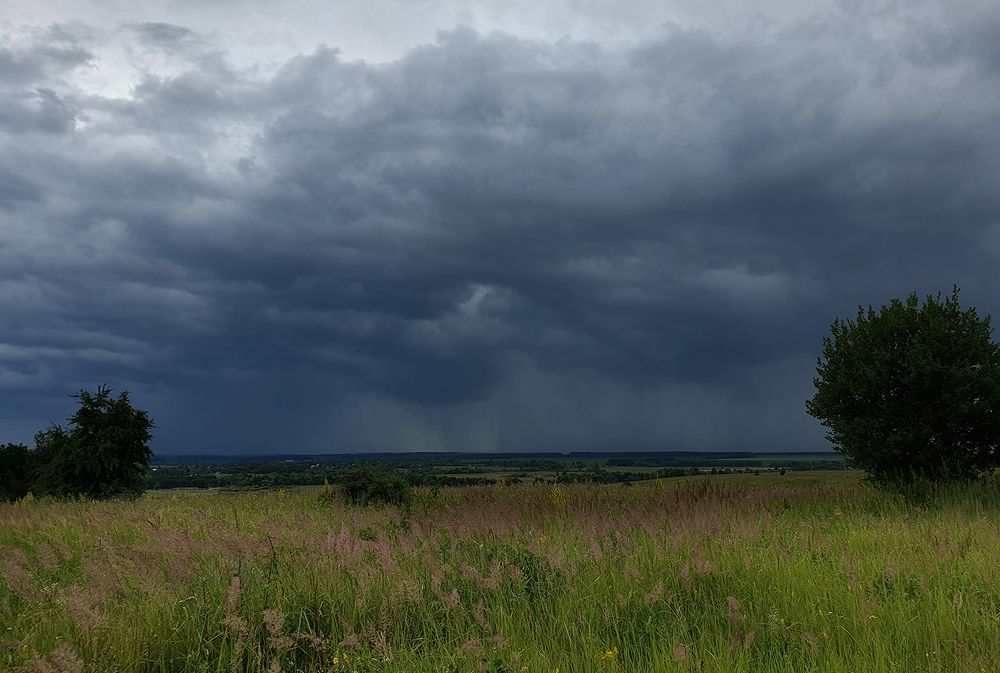 Фотография автора Надежда Лисицына