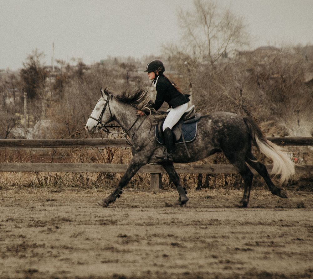 Photograph by Елена Коновалова