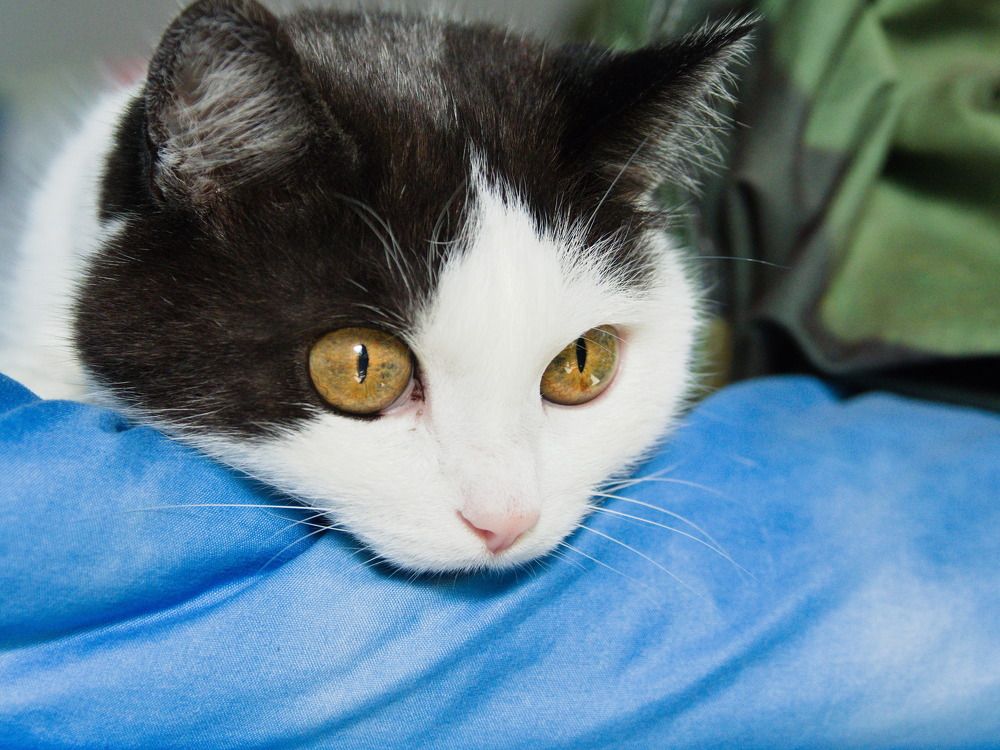 Photograph by Сергей Тузлуков