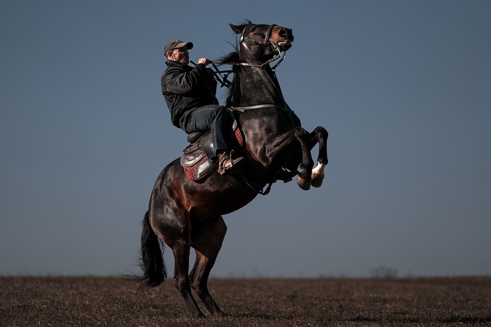 Photograph by Марлен Маан