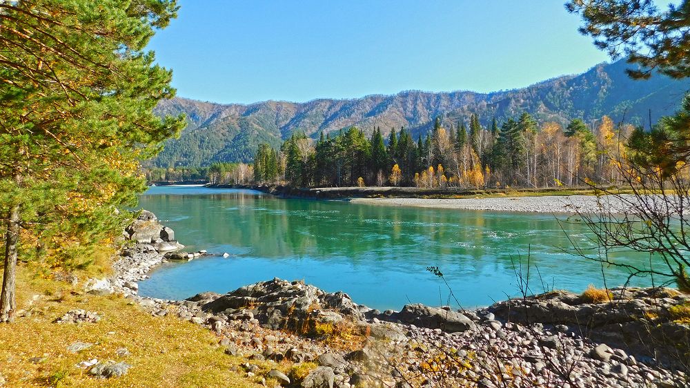 Краски осени...