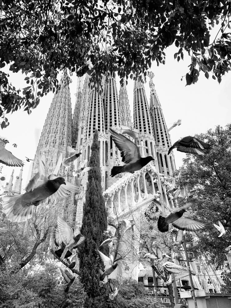 Photograph by Ksenia Sandlerski