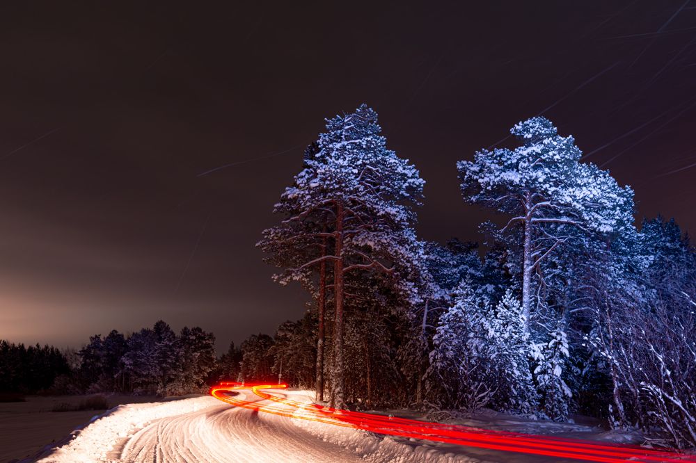 Фотография автора Алексей Ильин