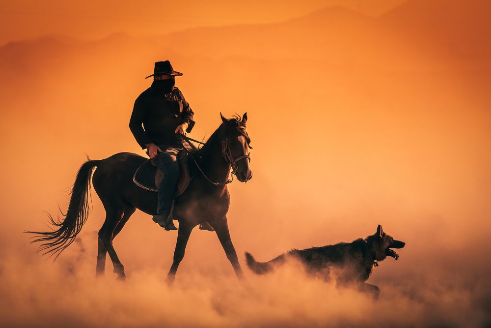 Photograph by MERIC AKTAR