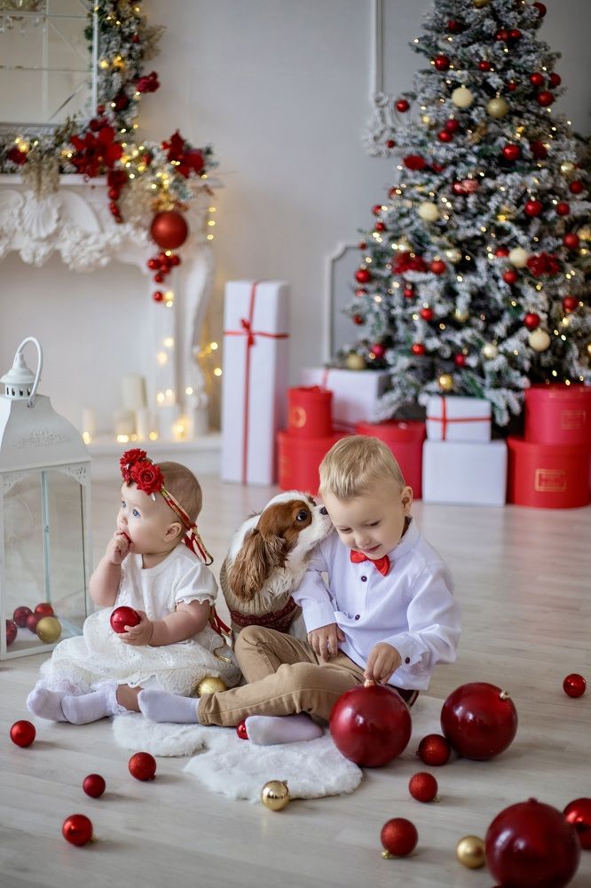 Photograph by Ekaterina Vasilkova