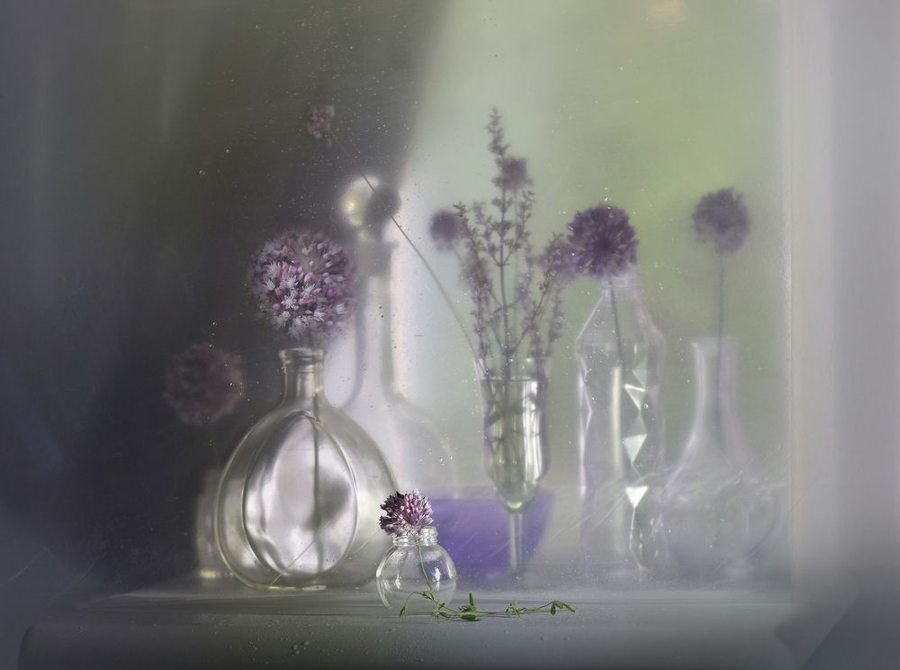 Фотография автора Ирина Шипунова