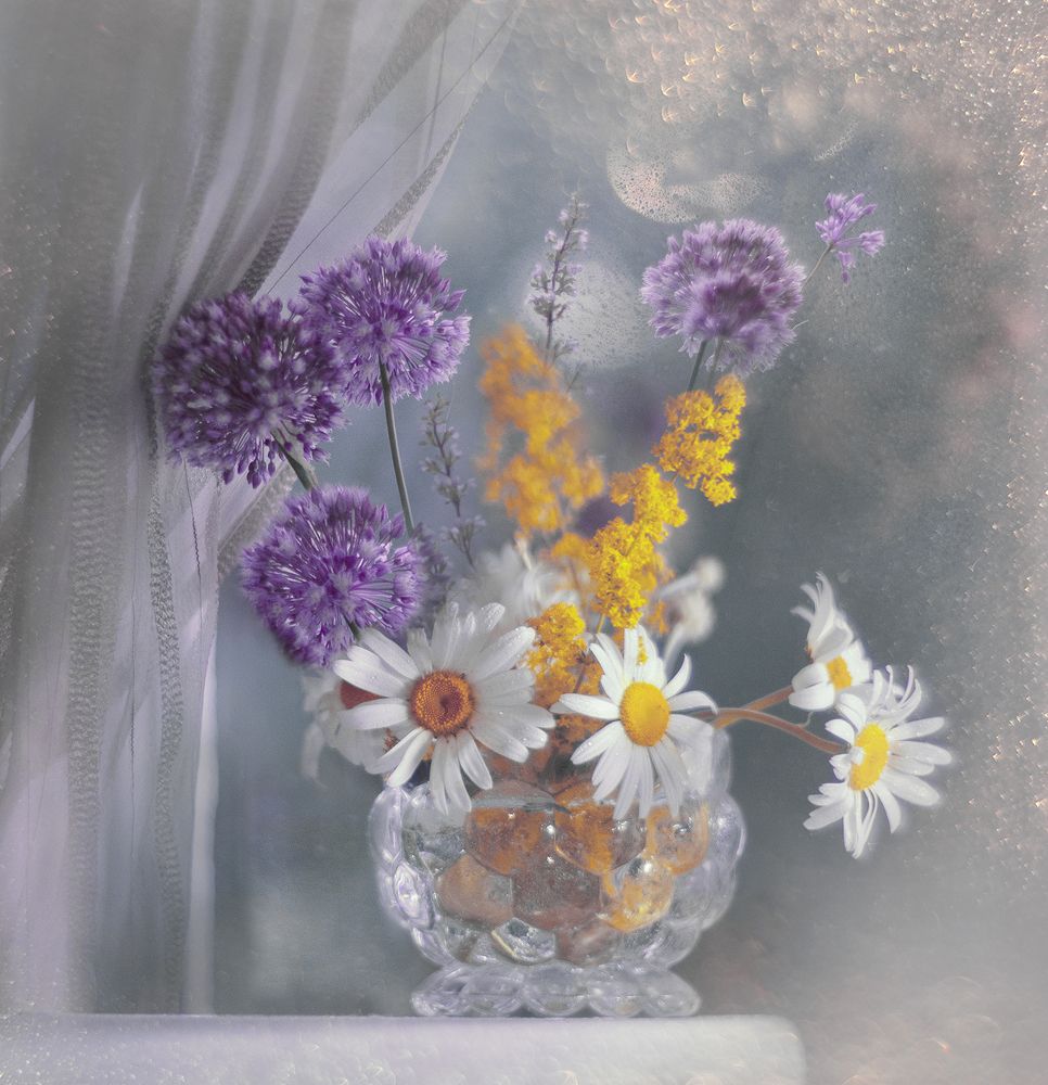 Фотография автора Ирина Шипунова