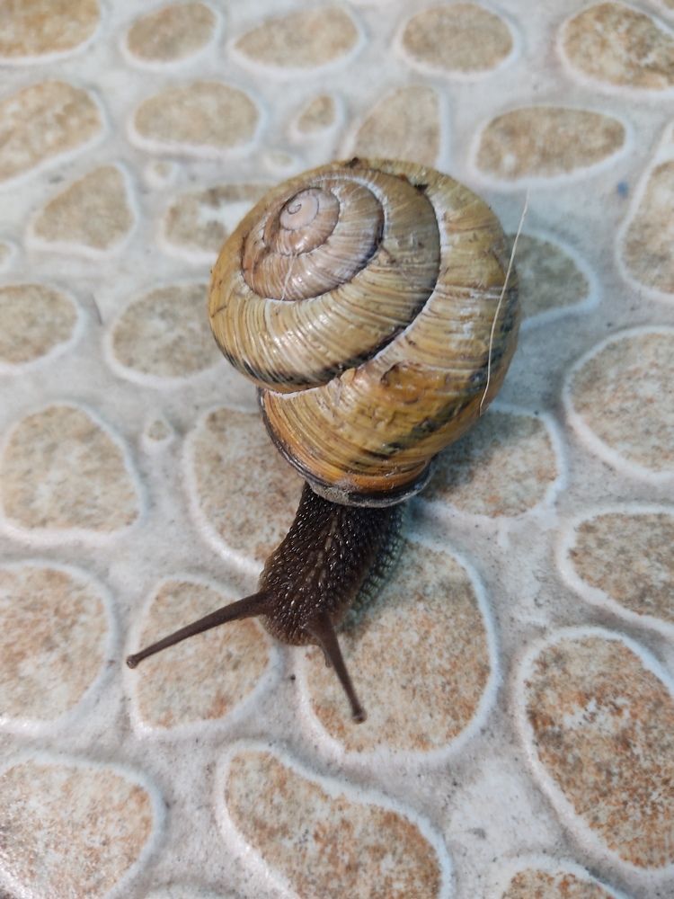 Photograph by Наталья Билай