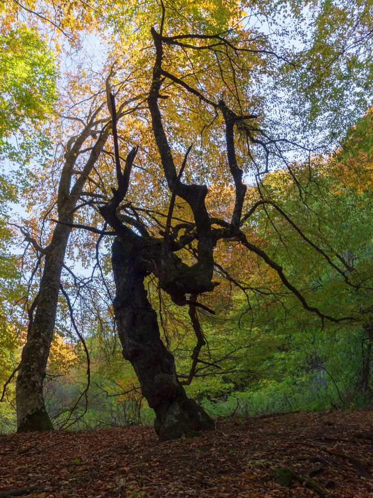 Photograph by Alex Kov