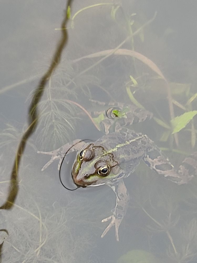 Photograph by Наталья Билай