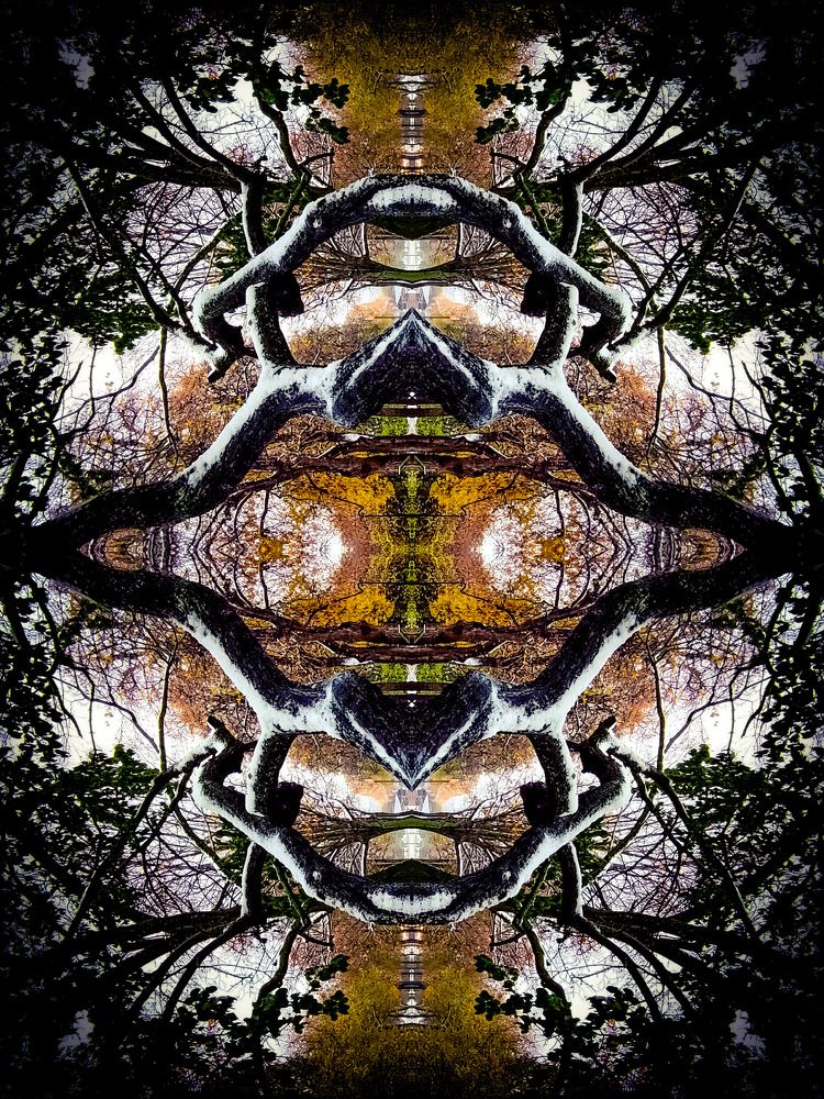 Космос природы