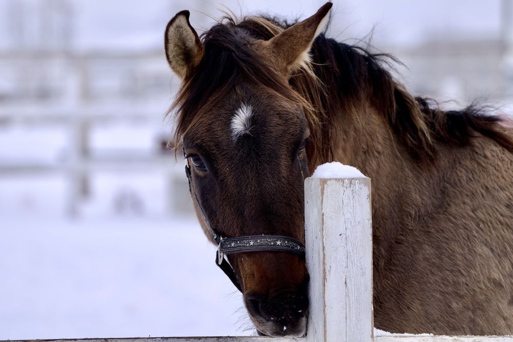 Фотография автора Viktoriya Kim