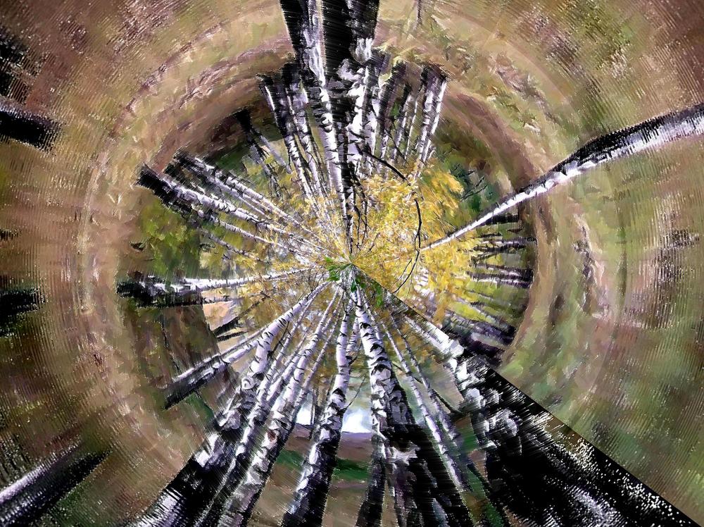 Photograph by Хвостов владимир Владимирович