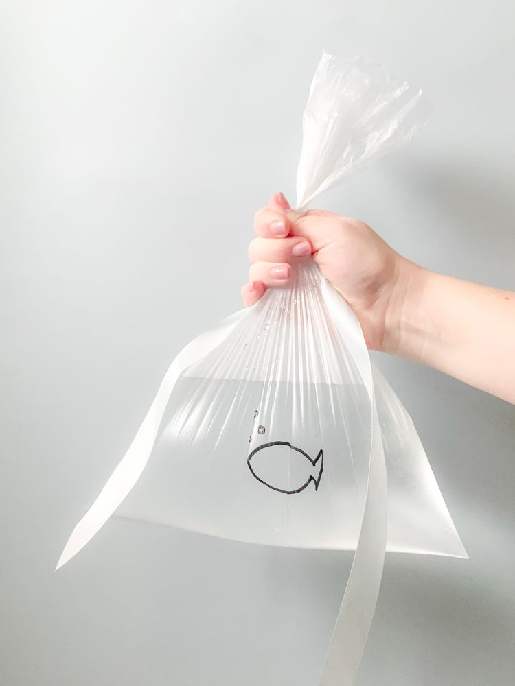 Photograph by Дарья Махнева