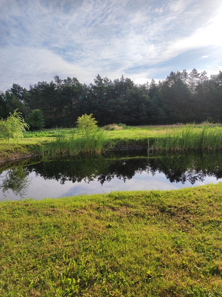 Photograph by Olga Dz