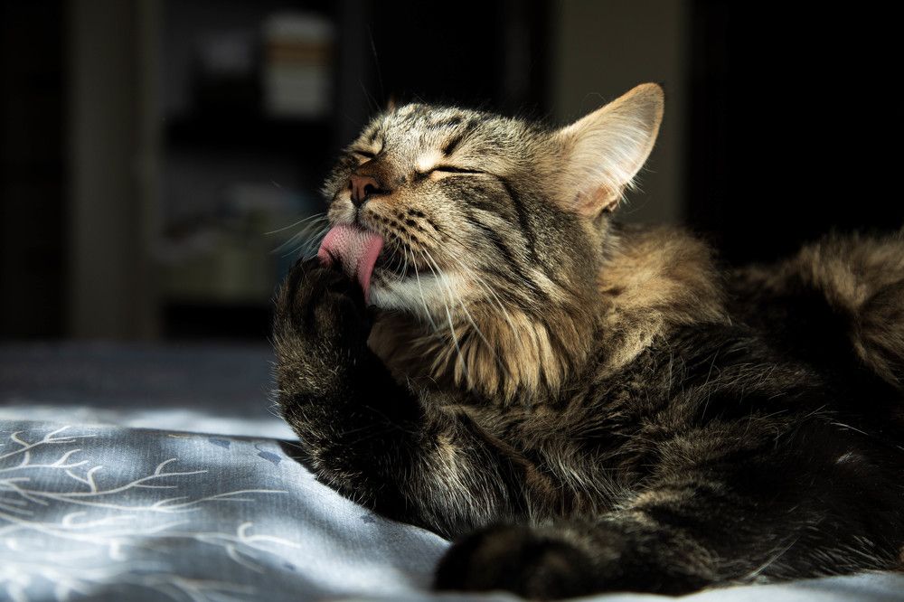 Photograph by Влад Преображенский