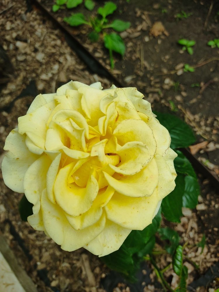 Photograph by Наталья Билай