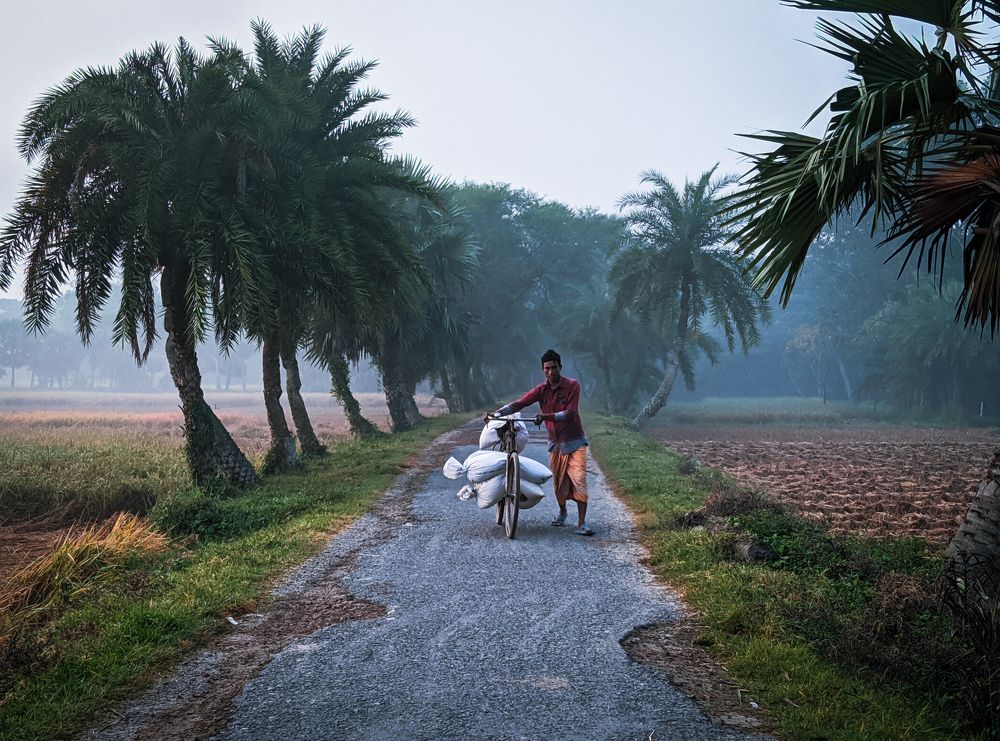 Photograph by Eleyas Hoshen